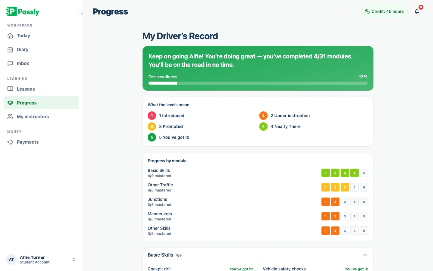 Learner Driver's Record showing progress across skill groups in the pupil portal